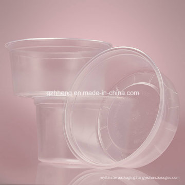 Chinese Factory OEM Clear Plastic Food Container (PP 011)